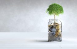 أهمية إعداد إقرار زكوي وخدمات محاسب قانوني للشركات لتحقيق النجاح المالي