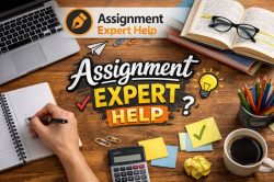 Fast and Reliable Law Essay Help Services