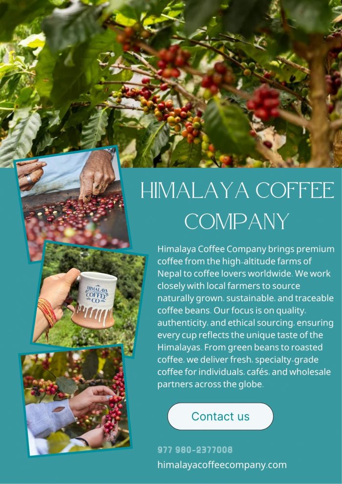 Indulge in Specialty Coffee Crafted for True Coffee Connoisseurs