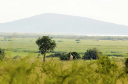 Budget Rwanda Tour Packages – Affordable Trips with Hermosa Life Tours & Travel