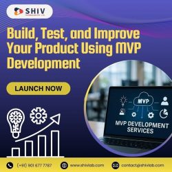 Modern MVP Development Company | Shiv Technolabs