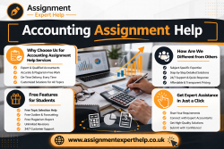 Get Expert Accounting Assignment Help Online