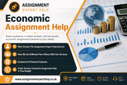 Professional Economic Assignment Help for All Topics