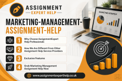 Affordable Marketing Assignment Assistance