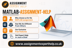 Expert MATLAB Assignment Help for Complex Problems