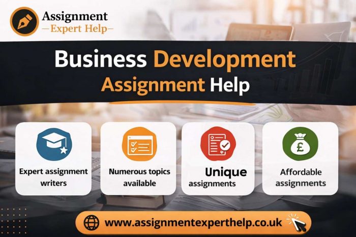 Affordable Business Development Assignment Help Services