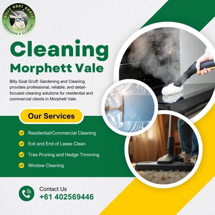 cleaning Morphett Vale