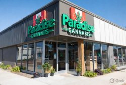 Premier Cannabis Store in Port Colborne At Paradise Cannabis