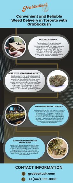 Convenient and Reliable Weed Delivery in Toronto with Grabbakush