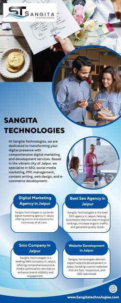 Professional Search Engine Optimization Services in Jaipur for Maximum Impact