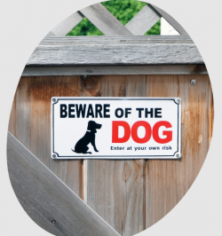 dog bite attorney