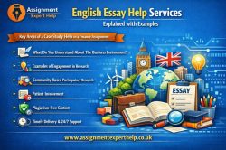Fast and Reliable English Essay Help Services