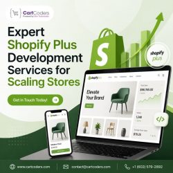 Shopify Plus Development Company by CartCoders for Custom Stores