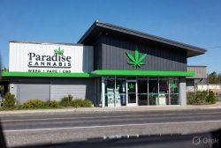 Weed Store in Arnprior At Paradise Cannabis