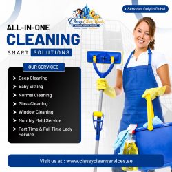 professional maid service Dubai Marina Elite Maid Solutionss
