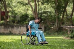 NDIS Acland | Reliable Disability Support Services
