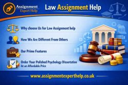 Fast and Reliable Law Assignment Help Services