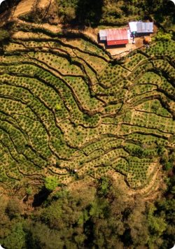Himalaya Coffee Company – Exploring Nepali Coffee Brands in the Nepal Coffee Exporters Directory