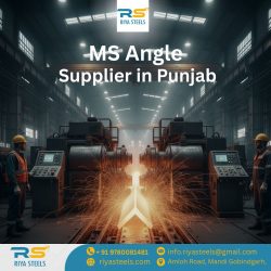 MS Angle Supplier in Punjab | High-Quality Steel Angles – Riya Steels