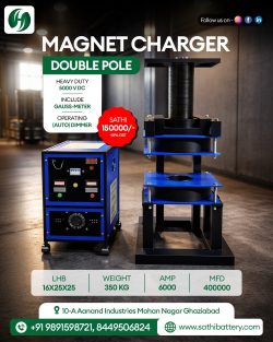 High-Performance Double Pole Magnet Charger – Housefull E-Rickshaw