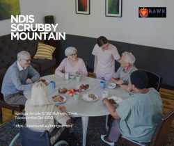 NDIS Scrubby Mountain