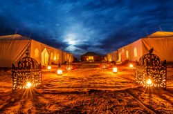 Qatar City Tour: Explore the Best of Doha in 2026