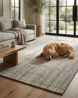 Best Area Rug Stores Near Me vs. Wholesale Suppliers: What’s Better?