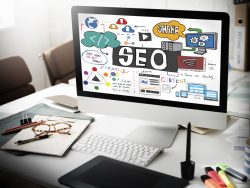 Professional SEO Services in California: Complete Guide