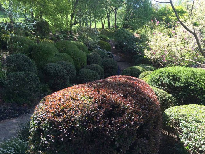 Semms Property Services: Weed Removal in Southern Highlands for Clean Landscapes