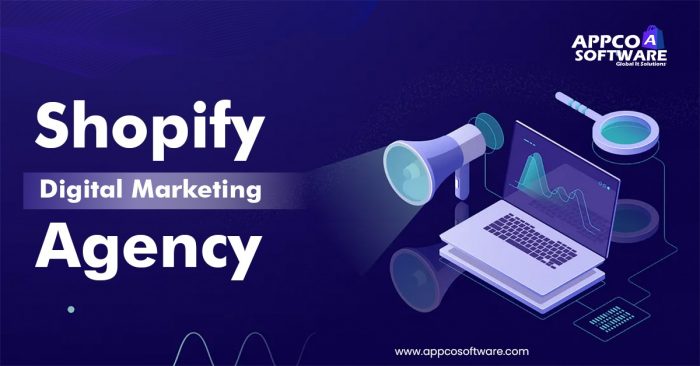 Best Digital Marketing Solutions Company | Appco Software