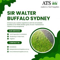 sir walter buffalo sydney