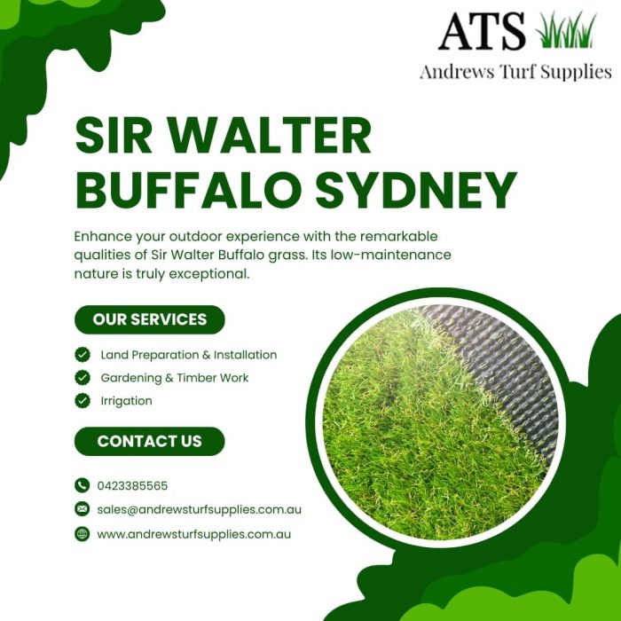 sir walter buffalo sydney