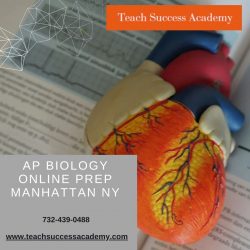 Ap Biology Online Prep Manhattan Ny