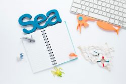 Importance of NAP Consistency for Local SEO in California