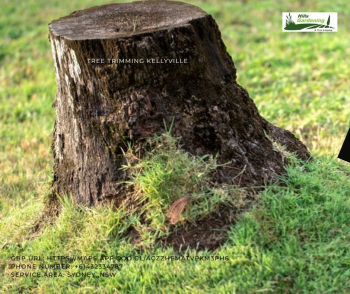 Tree Cutting Beecroft