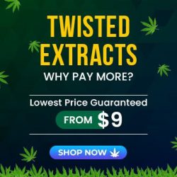 🔥 Twisted Extracts – Premium Cannabis Edibles Starting From Just $9!