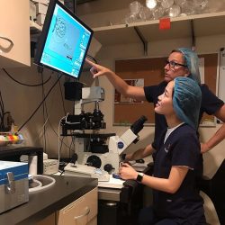 World Embryology Skills and Training: Embryologist Education for Core Learning