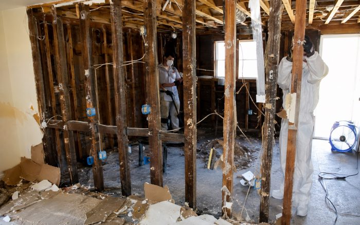 Mold removal Binghamton NY
