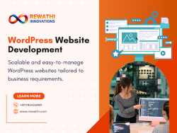 Why BusinesseDevelopment s Need Professional WordPress in Jaipur