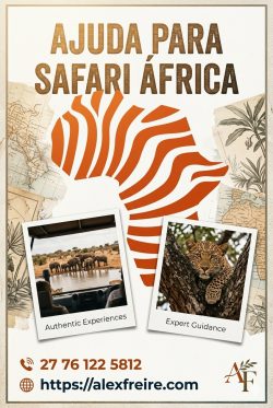 Ajuda para Safari África e Roteiros Personalizados