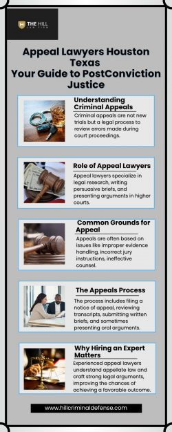 Appeal Lawyers Houston Texas: Your Guide to Post-Conviction Justice