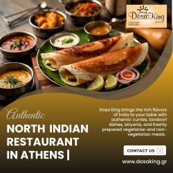 Authentic North Indian Restaurant in Athens | Dosa King