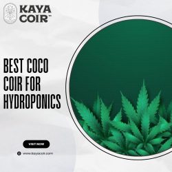 Best Coco Coir For Hydroponics