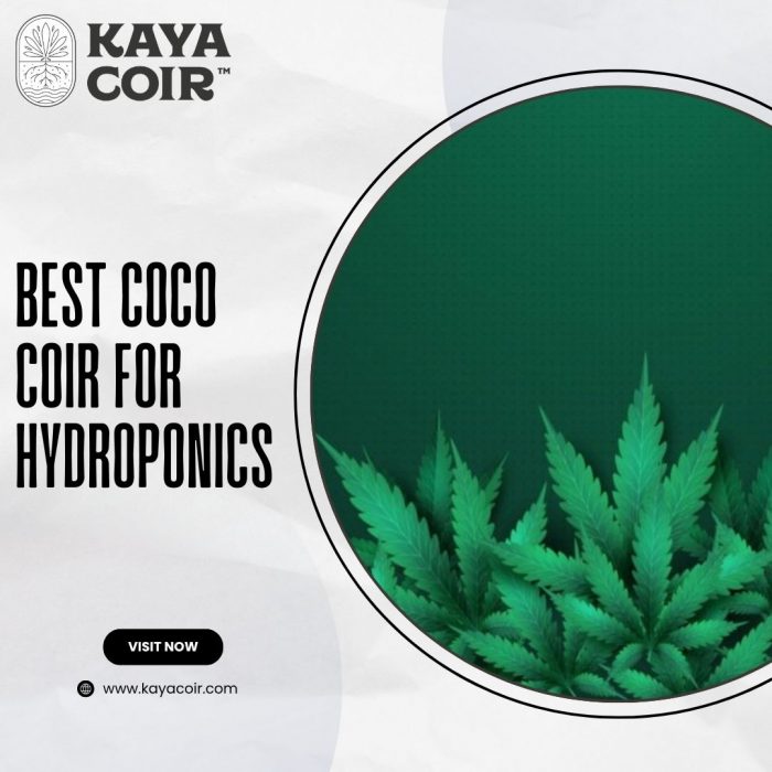 Best Coco Coir For Hydroponics