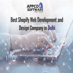 Best Shopify Development Company in Delhi | Appco Software