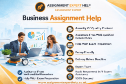 Online Business Assignment Helps Services for Academic Excellence