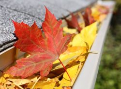 Windy City Gutter Cleaning: Efficient Gutter Cleaning Solutions in Wilmette