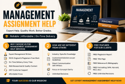 Top-Rated Management Assignment Help Experts