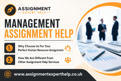 Expert Management Assignment Help for College Students