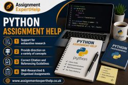 Affordable Python Assignment Help Online